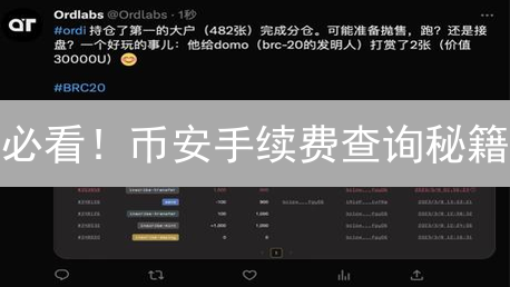必看！币安手续费查询秘籍：省钱交易，利润翻倍！