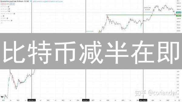 比特币减半在即？2024年投资机会大揭秘！