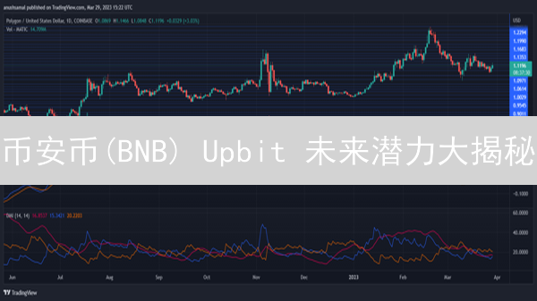币安币(BNB) Upbit 未来潜力大揭秘：现在入场是机会？