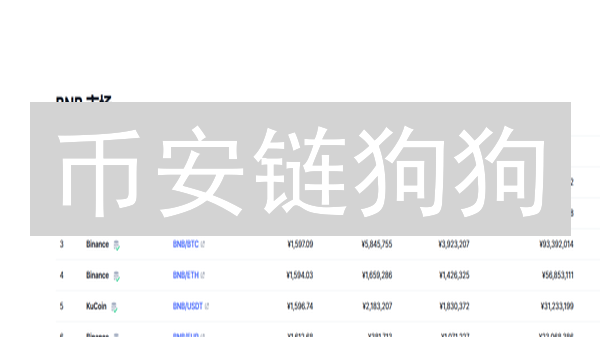 币安链狗狗：下一个财富密码？揭秘BSC模因币的机遇与风险！