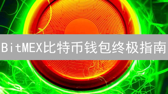 BitMEX比特币钱包终极指南：新手必读！【2024最新】