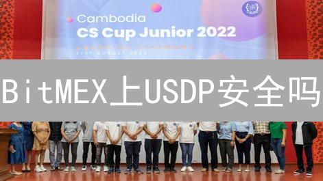 BitMEX上USDP安全吗？购买USDP的终极指南与风险分析