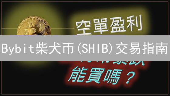 Bybit柴犬币(SHIB)交易指南：新手必读，抓住暴富机会？
