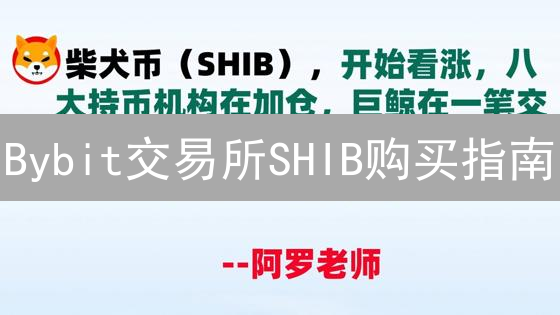 Bybit交易所SHIB购买指南：新手必看，快速上手！