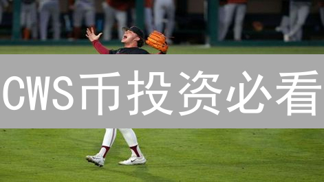 CWS币投资必看：如何安全购买与存储？新手避坑指南！