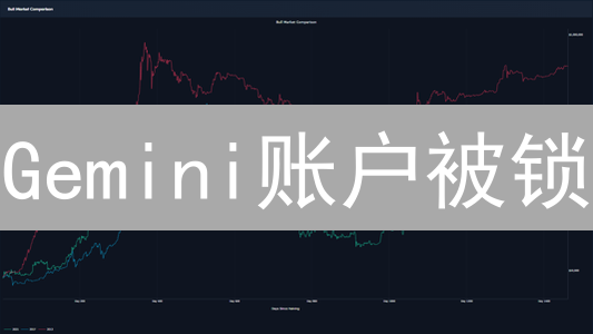 Gemini账户被锁？别慌！解锁指南+避坑秘籍大公开