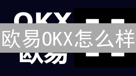 欧易OKX怎么样？全面评估：优势与劣势解析，新手必看！