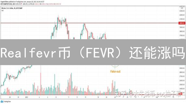 Realfevr币（FEVR）还能涨吗？深度解析投资价值与风险！