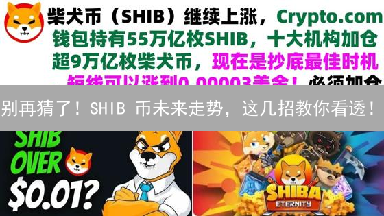 别再猜了！SHIB 币未来走势，这几招教你看透！
