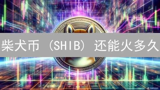 柴犬币 (SHIB) 还能火多久？深度剖析未来机遇与挑战！