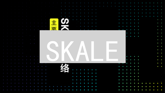 SKALE：为以太坊加速，开启DApp丝滑新纪元！🚀