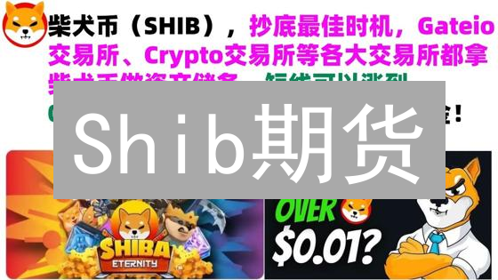 Shib期货：抓住暴富机会？揭秘交易风险与策略！