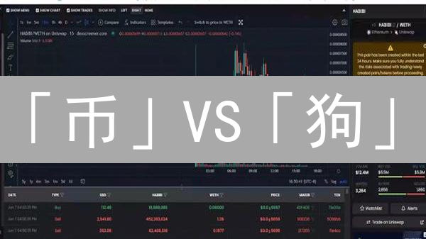 「币」VS「狗」：2024 加密货币项目命名大揭秘！选哪个？