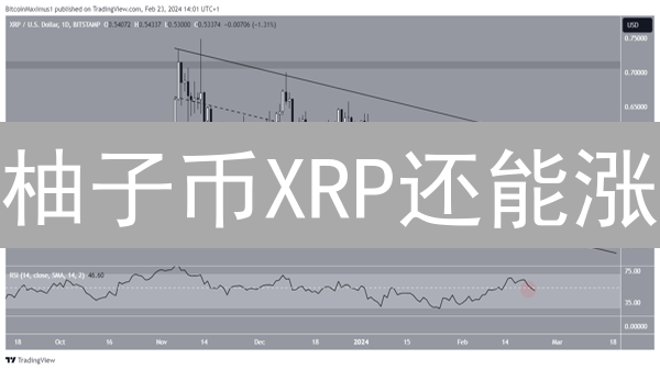 柚子币XRP还能涨？揭秘2024年价格暴涨的终极密码！