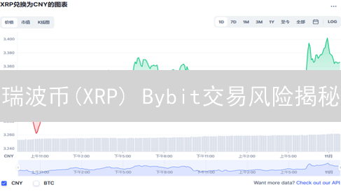 瑞波币(XRP) Bybit交易风险揭秘：这份策略助你稳健盈利？